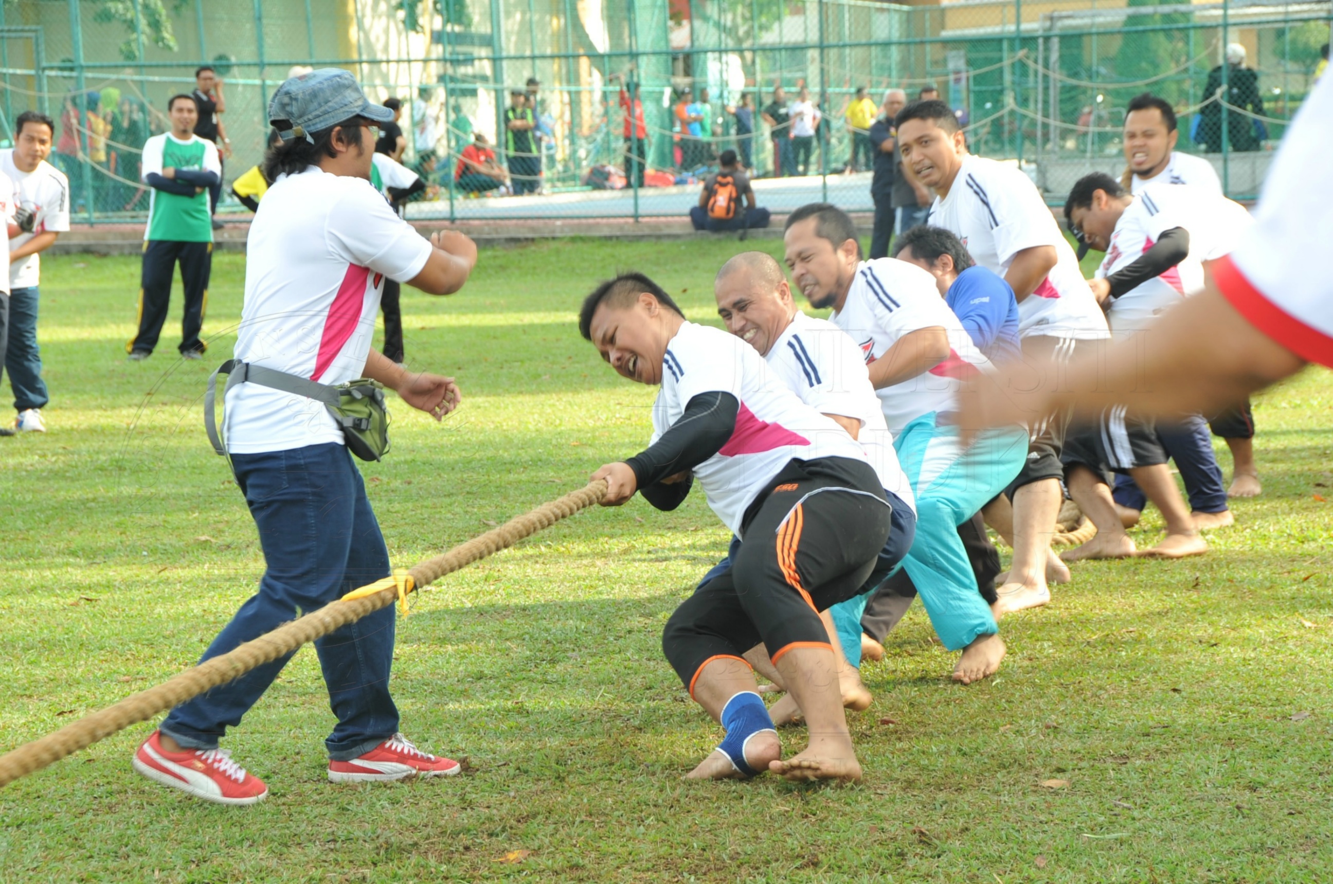 PRO 15 53 KIESTA HAS 5531